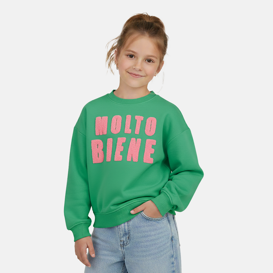Sweater lyncy jr.