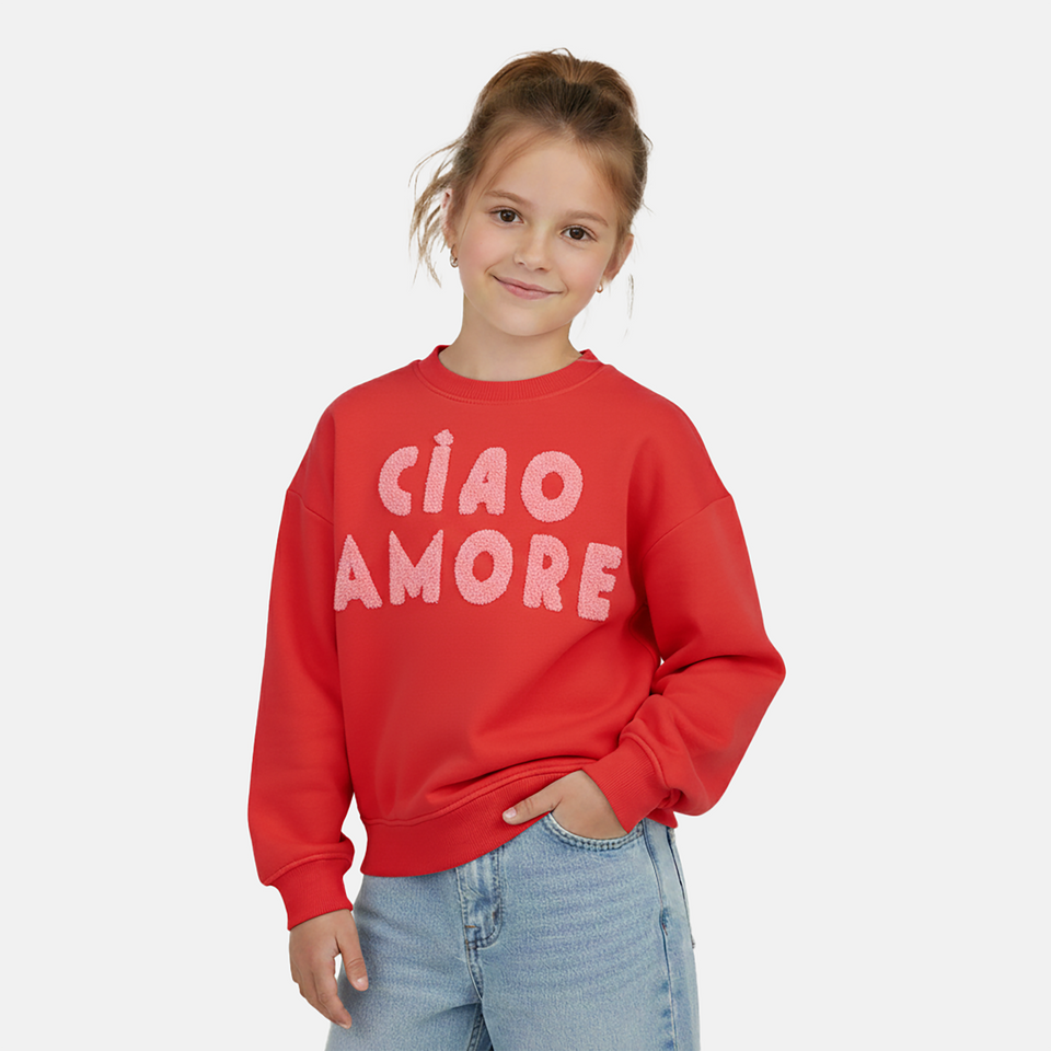 Sweater lyncy jr.