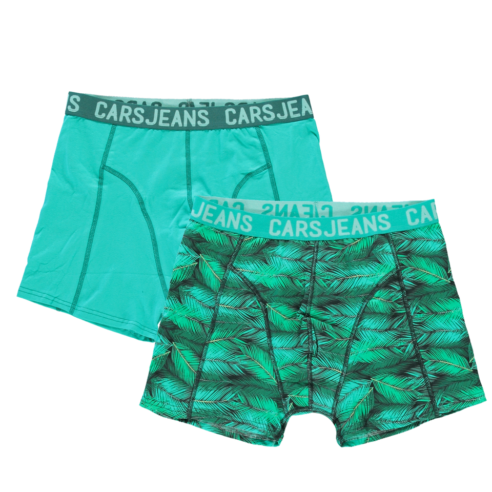 Boxershort Beatle 2-pack Jr.