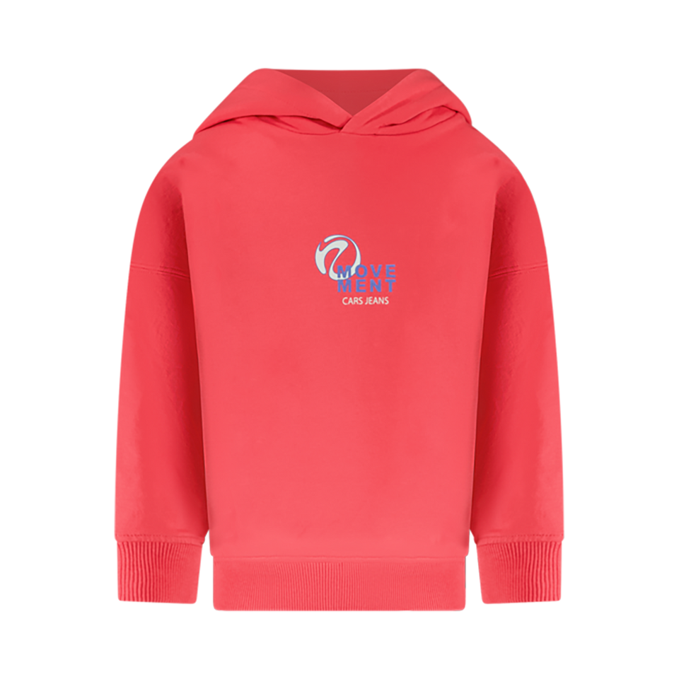 Hoodie Brys jr.