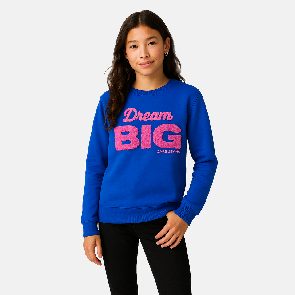 Sweater Jorilla jr.