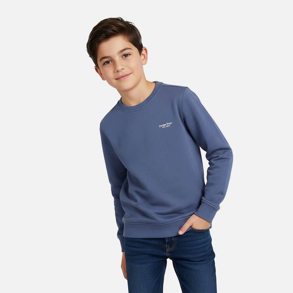 Sweater diso jr.