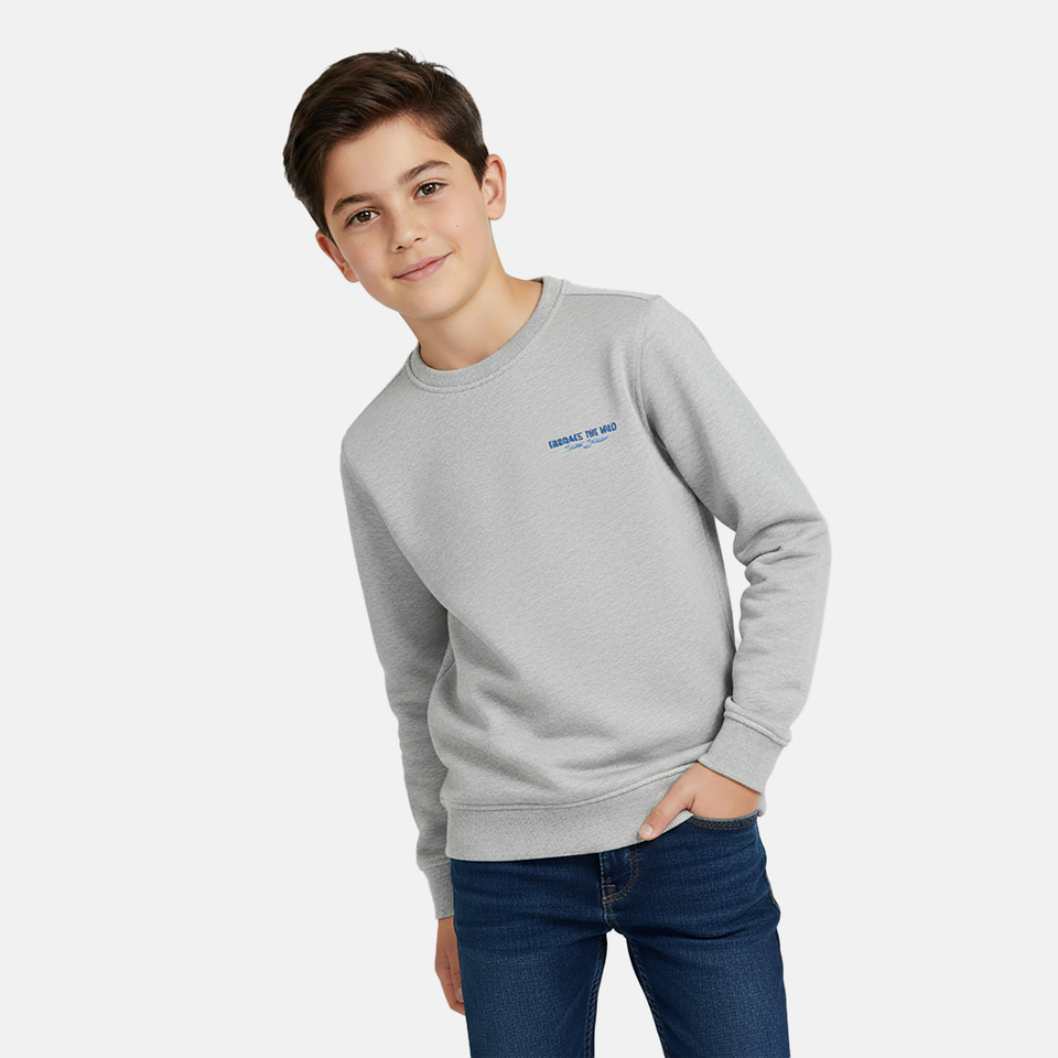 Sweater diso jr.