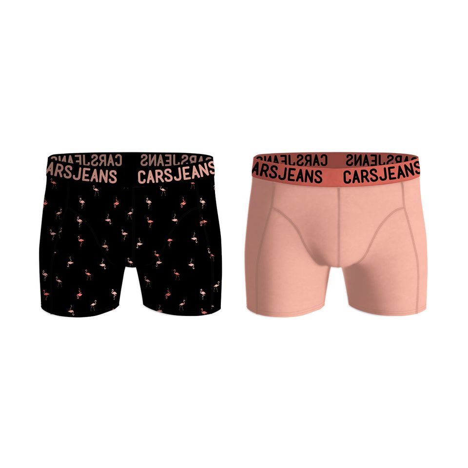Boxershort Trunks Jr. 2-pack