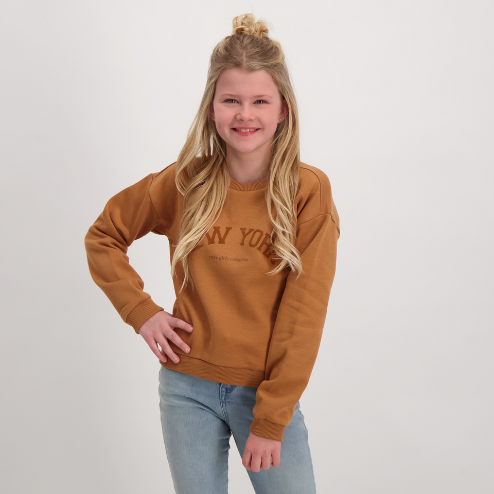 Sweater Iskay Jr.