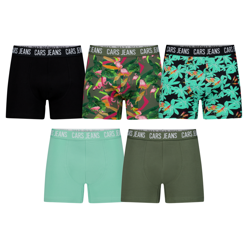 Boxers BENFO 5 Pack Jr.
