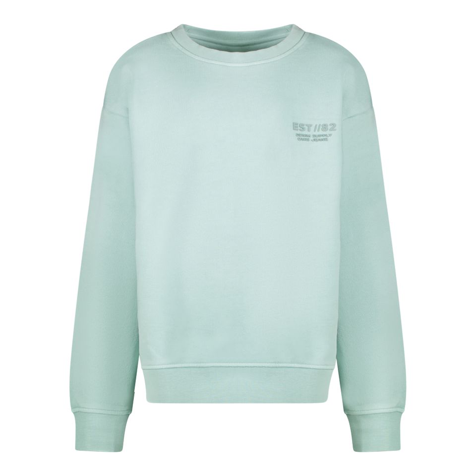 Sweater Rewnac jr.
