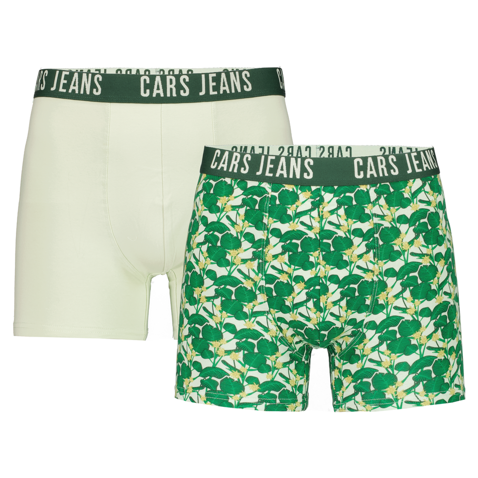 Boxer BASCO 2 PACK Uni