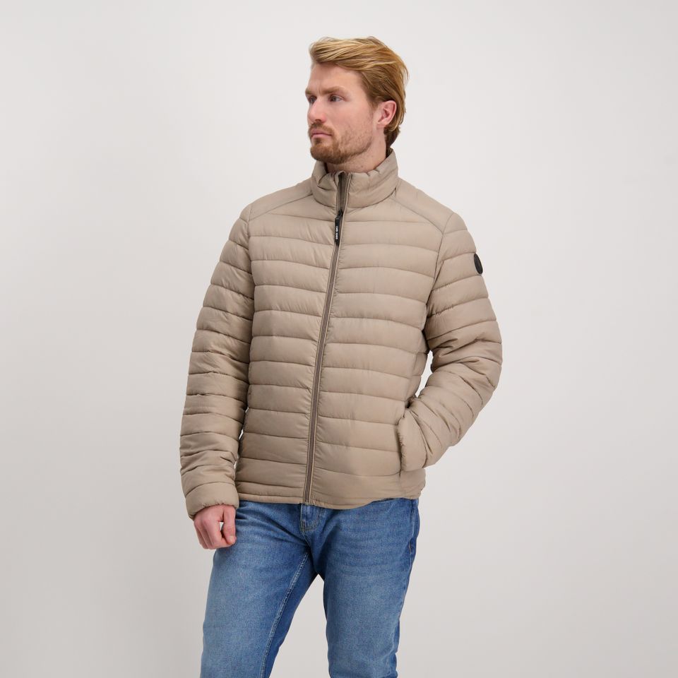 Jacket Stinger