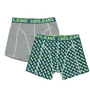 Boxershort Beatle 2-pack Jr._6