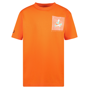 T-shirt Sprayer Jr._8