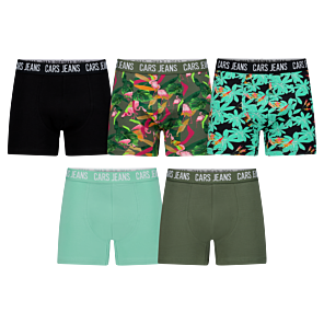 Boxers BENFO 5 Pack Jr._6